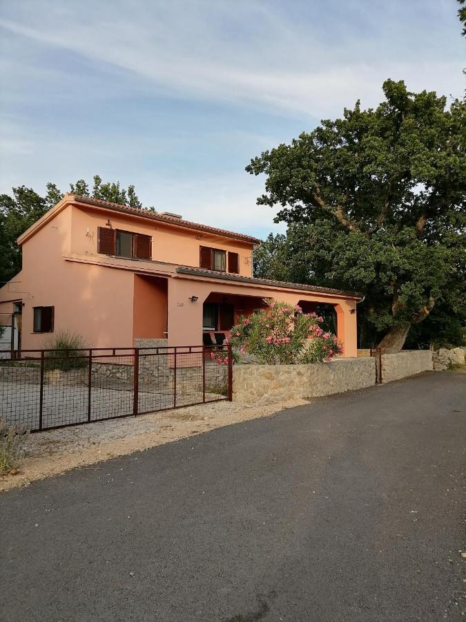 Studio Apartman Hrast Seline Kültér fotó